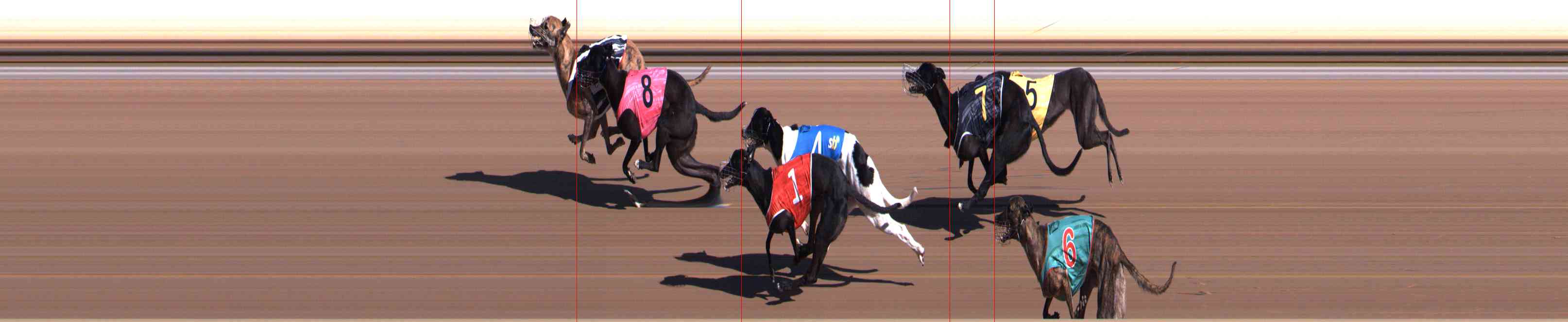 Race result finish photo